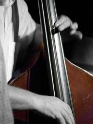 Une zoulie contrebasse